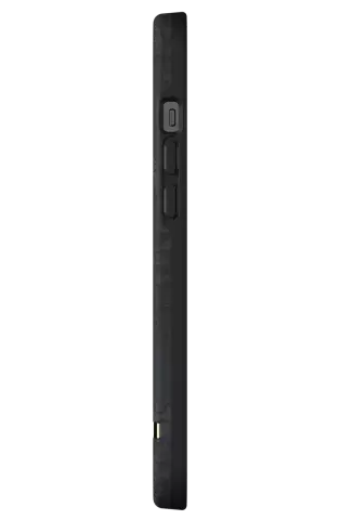 Richmond &amp; Finch Black Tiger Coque Tigre Robuste compatible avec iPhone 12 Pro Max - Noir