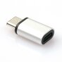 Adaptateur micro USB vers USB C argent