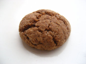 App van de week: Rollende Pepernoot App van de week: Rollende Pepernoot